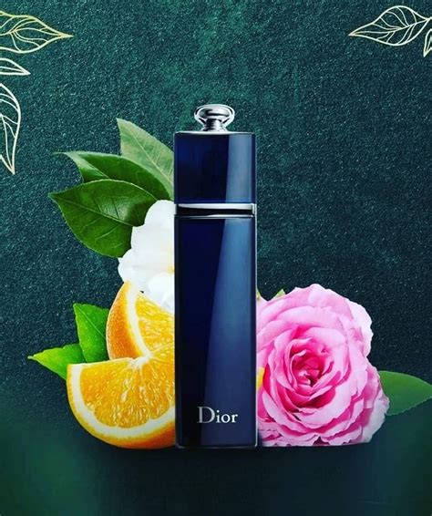 Dior Addict Edp Kadın Parfüm 100 ml Fiyatı, Yorumları .